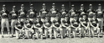 1983-1984 Baseball Team