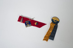 Athletics Pins by Cedarville College