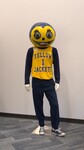 Yellow Jacket Mascot Costume, 1980-1987 by Cedarville College