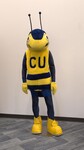 Yellow Jacket Mascot Costume, 2000-2009 by Cedarville University