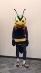 Yellow Jacket Mascot Costume, 2009-2018 by Cedarville University