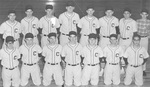 Baseball Team by Cedarville University