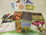 Seasons photo activity cards by Cedarville University