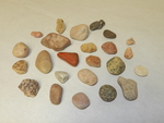 Rocks from Israel by Cedarville University