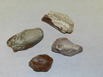Rocks from the Dead Sea by Cedarville University
