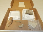 Fossils : invertebrate set by Cedarville University