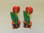 Cross section flower model by Cedarville University