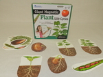 Giant magnetic plant life cycles [kit] by Cedarville University