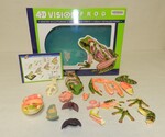 4D vision frog anatomy model by Cedarville University