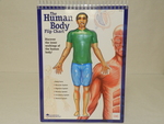 The human body flip chart [teaching aid] by Cedarville University