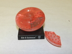 Red blood cell model by Cedarville University