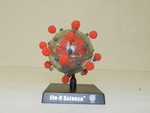 Virus model by Cedarville University