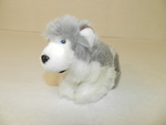 Iglu, a gray wolf pup [toy] by Cedarville University