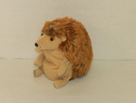 Hedgehog by Cedarville University