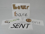 Homophone picture cards : set 1 by Cedarville University