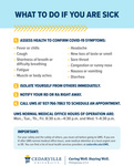 What To Do if You Are Sick by Cedarville University