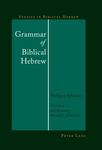 <em>Grammar of Biblical Hebrew</em> by Randall L. McKinion