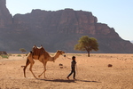 a boy and his camel by Isabelle Anna Harvey