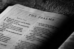 The Book of Psalms by Timothy Schmidt