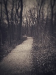 A Walkway by Emma Foster