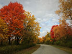 A Road Framed by Fall by Magdalene Johnson