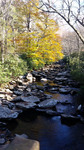 Stoney Creek by Miranda D. Sams