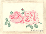 Rose Drawing by Cedarville University