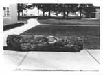 Spirit Log by Cedarville University