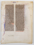 Latin "Pocket" Bible Manuscript Leaf