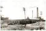 Paper Mill Mules by Cedarville University
