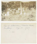 Stevenson Cemetery (Massie's Creek) by Cedarville University