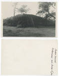 Williamson Indian Mound by Cedarville University