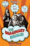 The Imaginary Invalid by Robert Clements
