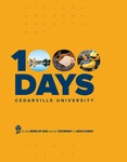 2020 View Book by Cedarville University
