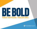 2014 View Book by Cedarville University