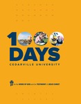 2021 View Book by Cedarville University