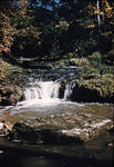 Birch Creek by Cedarville University
